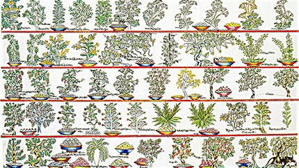 藏藥資源分布、發(fā)展史